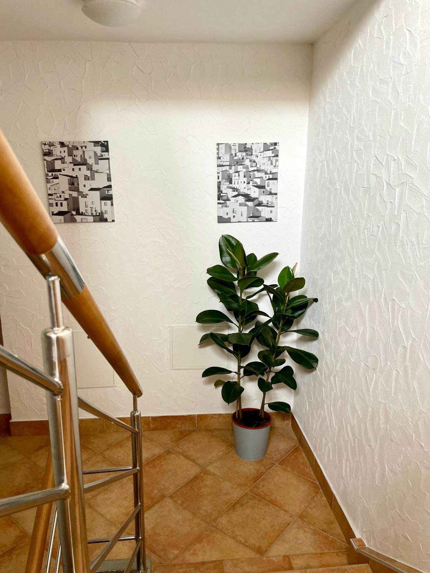 All Seasons Apartments Lasko Bagian luar foto